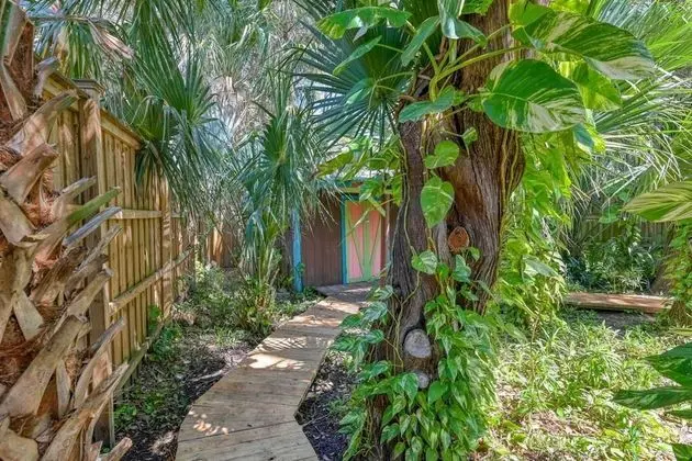 Ev (Tiki Nest)