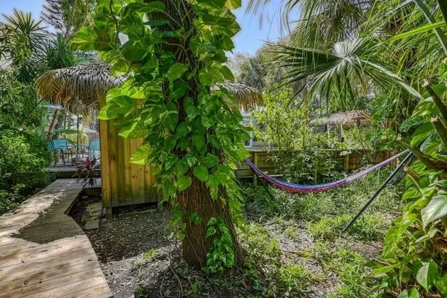 Ev (Tiki Nest)