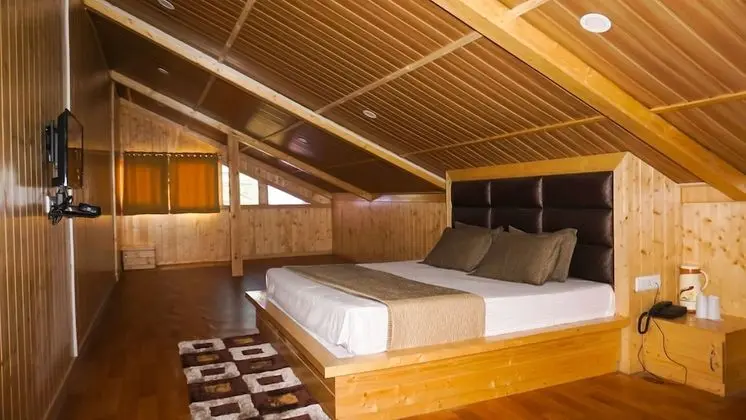 Deluxe Oda, 1 Çift Kişilik Yatak