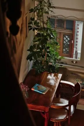 Yellow Mimosa Room