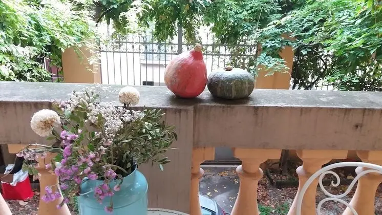 Comfort Tek Büyük veya İki Ayrı Yataklı Oda