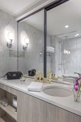 Luxury Oda, 1 En Büyük (King) Boy Yatak
