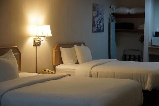 Deluxe Tek Büyük Yataklı Oda, Sigara İçilmez