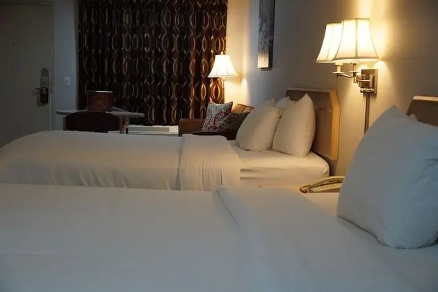 Deluxe Tek Büyük Yataklı Oda, Sigara İçilmez