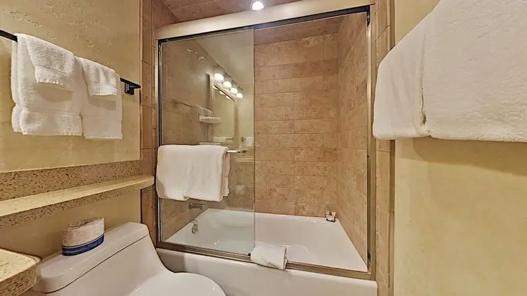 Deluxe Çatı Katı (Loft), 1 Yatak Odası