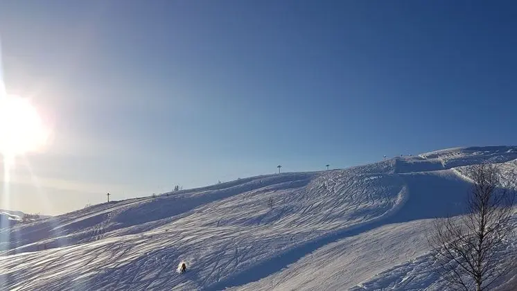 Luxury Kulübe, Birden Çok Yatak Odası, Dağ Manzaralı