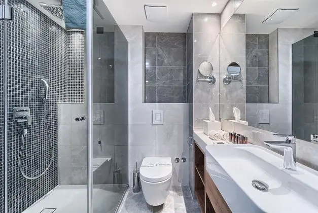 Standard Tek Büyük veya İki Ayrı Yataklı Oda, Balkon, Şehir Manzaralı