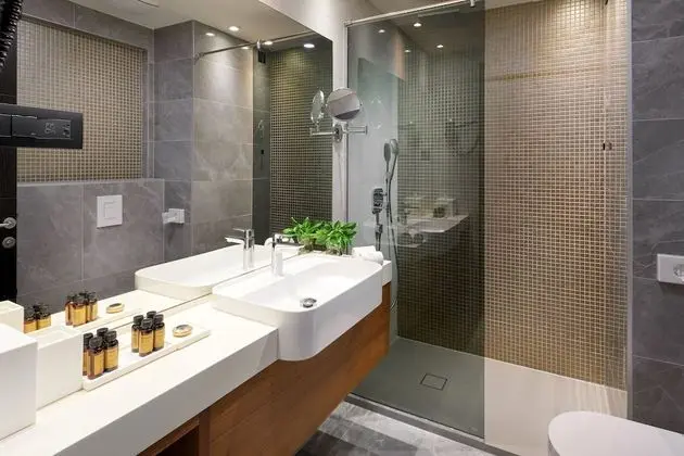 Standard Tek Büyük veya İki Ayrı Yataklı Oda, Balkon, Şehir Manzaralı
