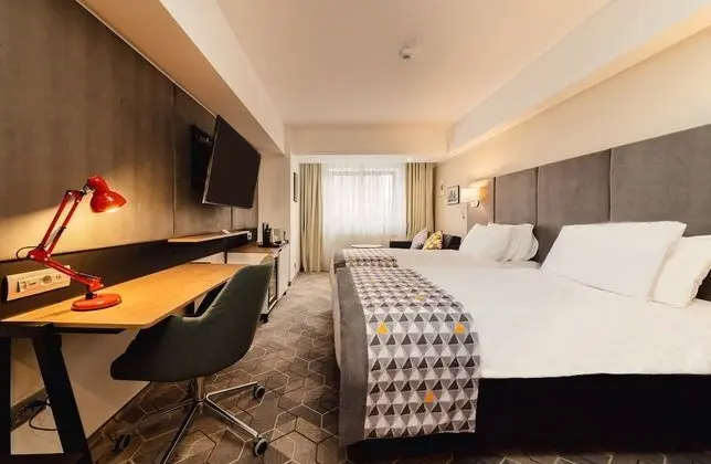 Premium Oda, 1 En Büyük (King) Boy Yatak ve Çekyat, Şehir Manzaralı