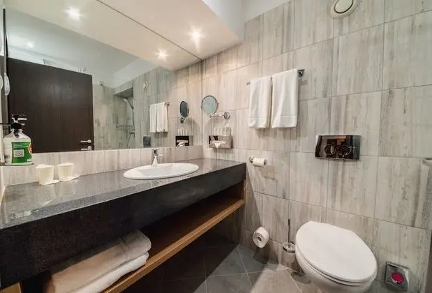Premium Oda, 1 En Büyük (King) Boy Yatak ve Çekyat, Şehir Manzaralı