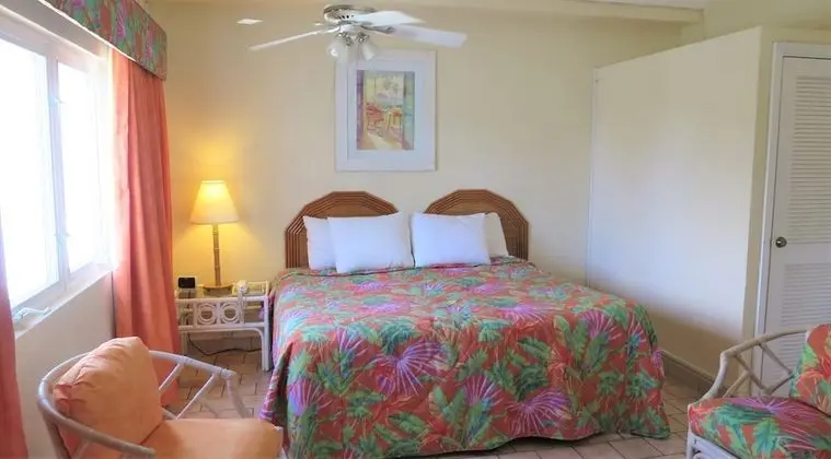 Standard Room, Non-Smoking, Ocean View