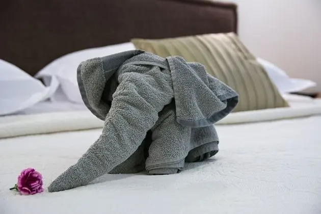 Tek Büyük veya İki Ayrı Yataklı Oda, Balkon