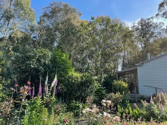 Comfort Kır Evi