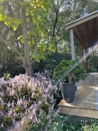 Comfort Kır Evi