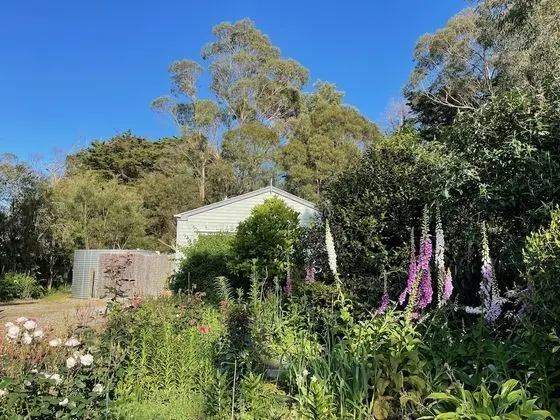 Comfort Kır Evi