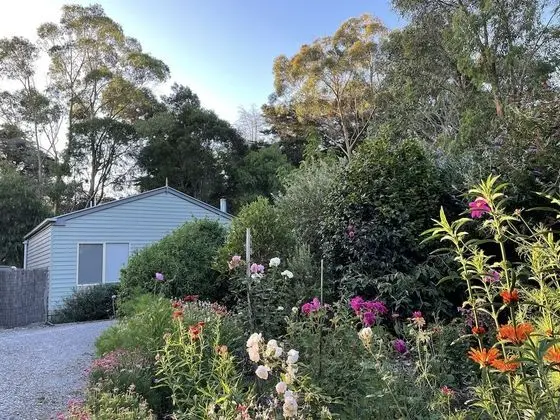 Comfort Kır Evi