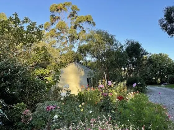 Comfort Kır Evi