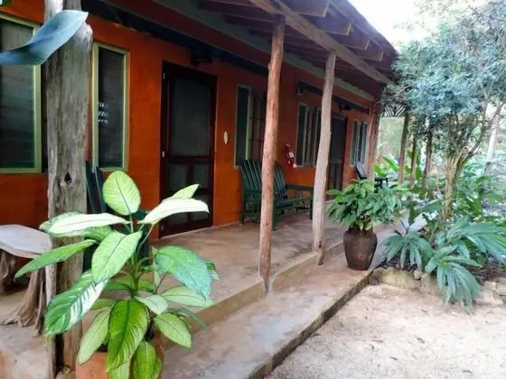 Bungalow Butterfly A