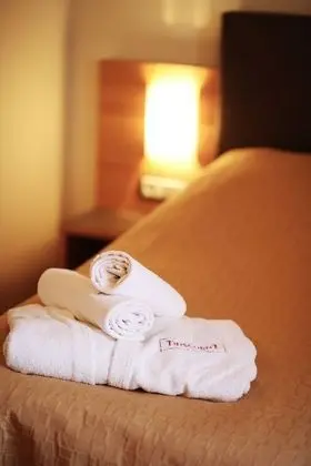 Tek Büyük veya İki Ayrı Yataklı Oda (Haupthaus)