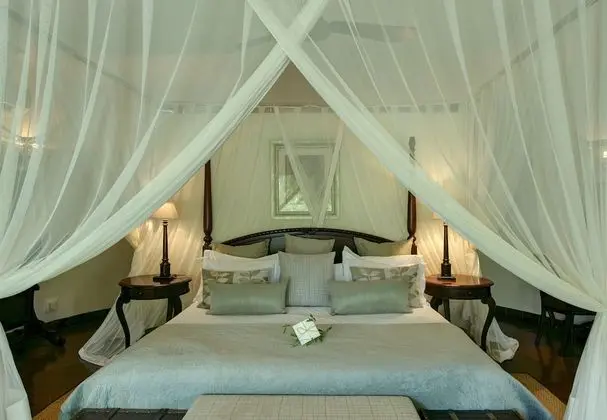Luxury Oda