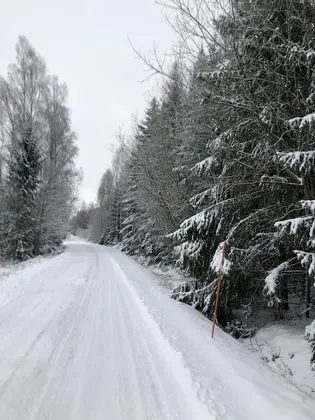 Kulübe