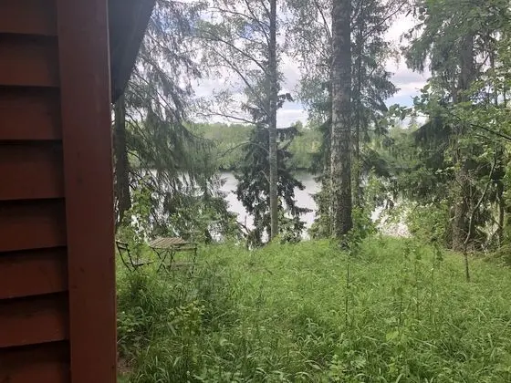 Kulübe
