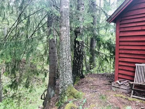 Kulübe