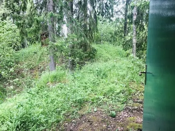 Kulübe