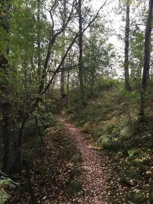 Kulübe