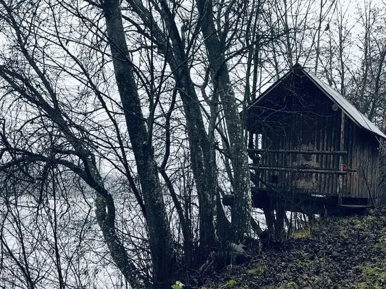 Kulübe