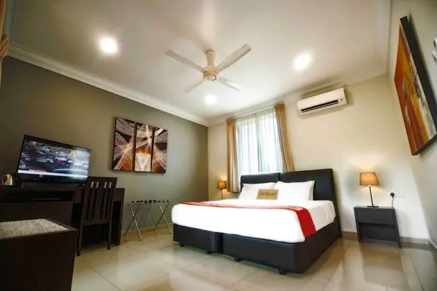 Deluxe Tek Büyük veya İki Ayrı Yataklı Oda (with A/C)