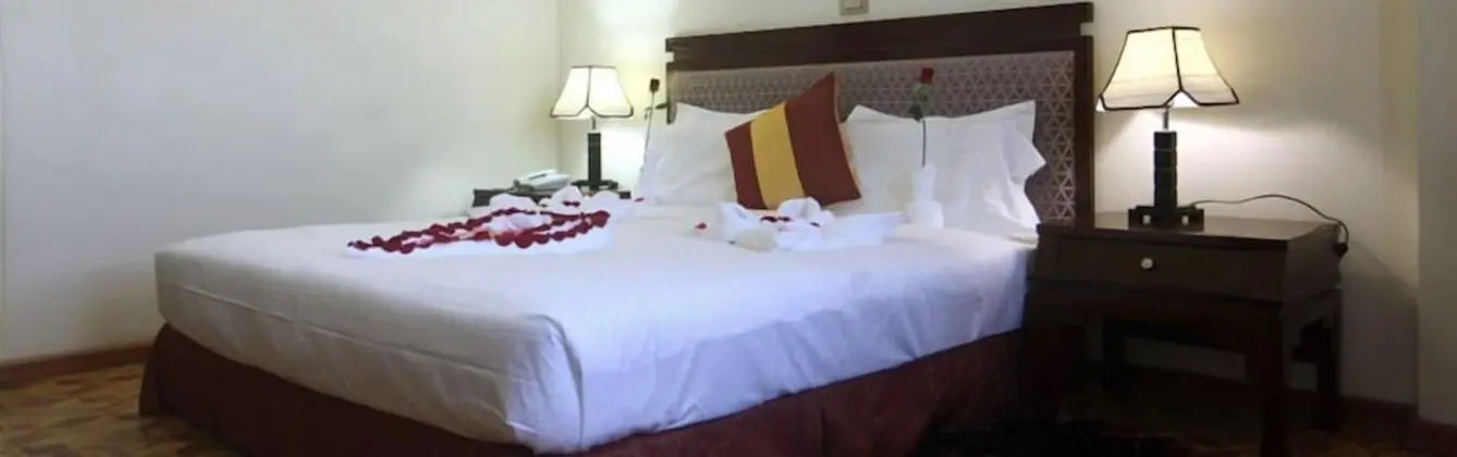 Deluxe Tek Büyük veya İki Ayrı Yataklı Oda, Şehir Manzaralı