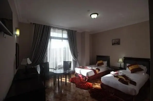 Deluxe Tek Büyük veya İki Ayrı Yataklı Oda, Şehir Manzaralı