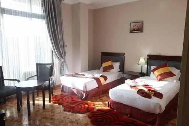Deluxe Tek Büyük veya İki Ayrı Yataklı Oda, Şehir Manzaralı
