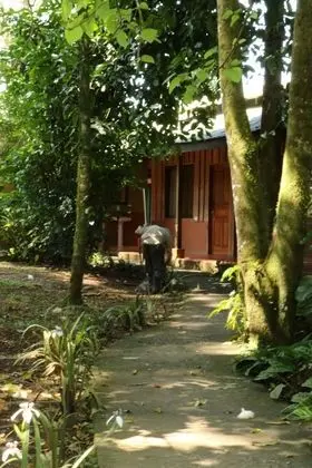 Economy Oda, Ortak Banyo