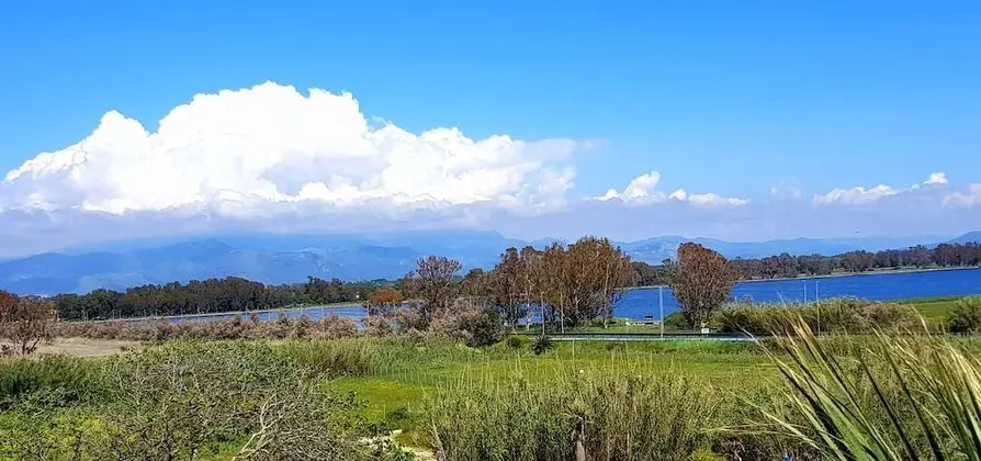 Tek Büyük Yataklı Oda, Balkon