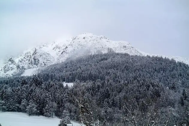 Apart Daire, Dağ Manzaralı