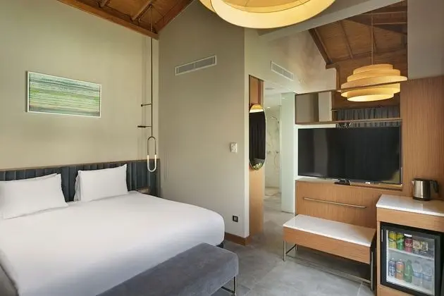 Bali House Swim-up