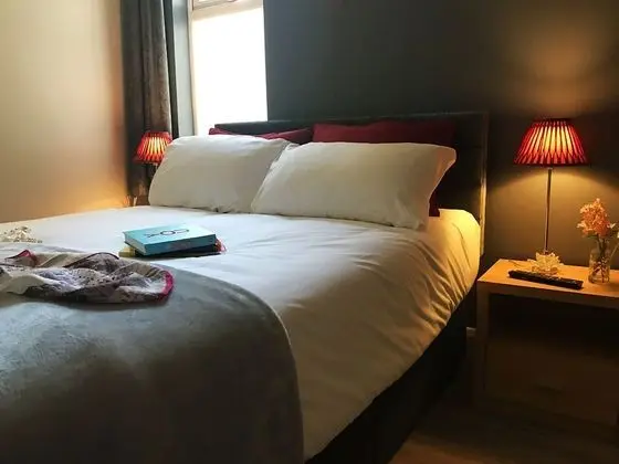 Tek Büyük Yataklı Oda, Engellilere Uygun (Accessible)