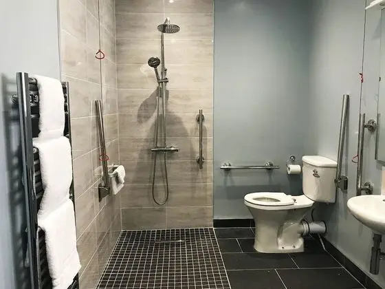 Tek Büyük Yataklı Oda, Engellilere Uygun (Accessible)