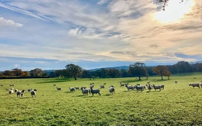 Apart Daire, Engellilere Uygun