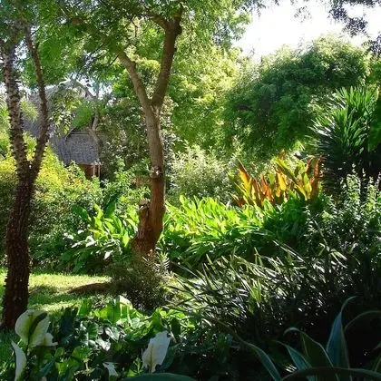 Villa, 2 Yatak Odası