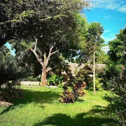 Villa, 2 Yatak Odası