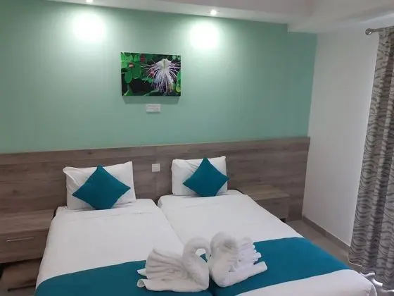 Deluxe Oda, 2 Tek Kişilik Yatak, Sigara İçilmez, Şehir Manzaralı