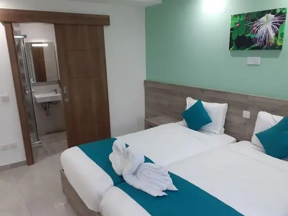 Deluxe Oda, 2 Tek Kişilik Yatak, Sigara İçilmez, Şehir Manzaralı