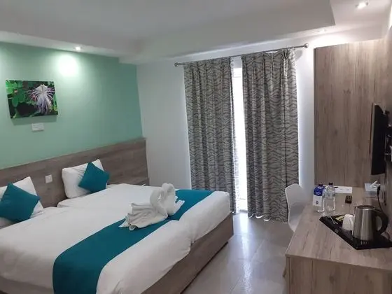 Deluxe Oda, 2 Tek Kişilik Yatak, Sigara İçilmez, Şehir Manzaralı