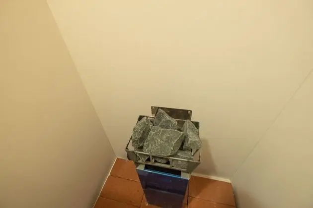 Deluxe Apart Daire, 1 Yatak Odası, Sigara İçilmez, Sauna (3)