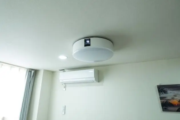 Deluxe Apart Daire, 1 Yatak Odası, Sigara İçilmez, Sauna (3)