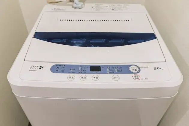 Deluxe Apart Daire, 1 Yatak Odası, Sigara İçilmez, Sauna (3)