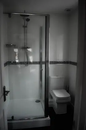 Tek Büyük Yataklı Oda, Banyolu/Duşlu (Elm)